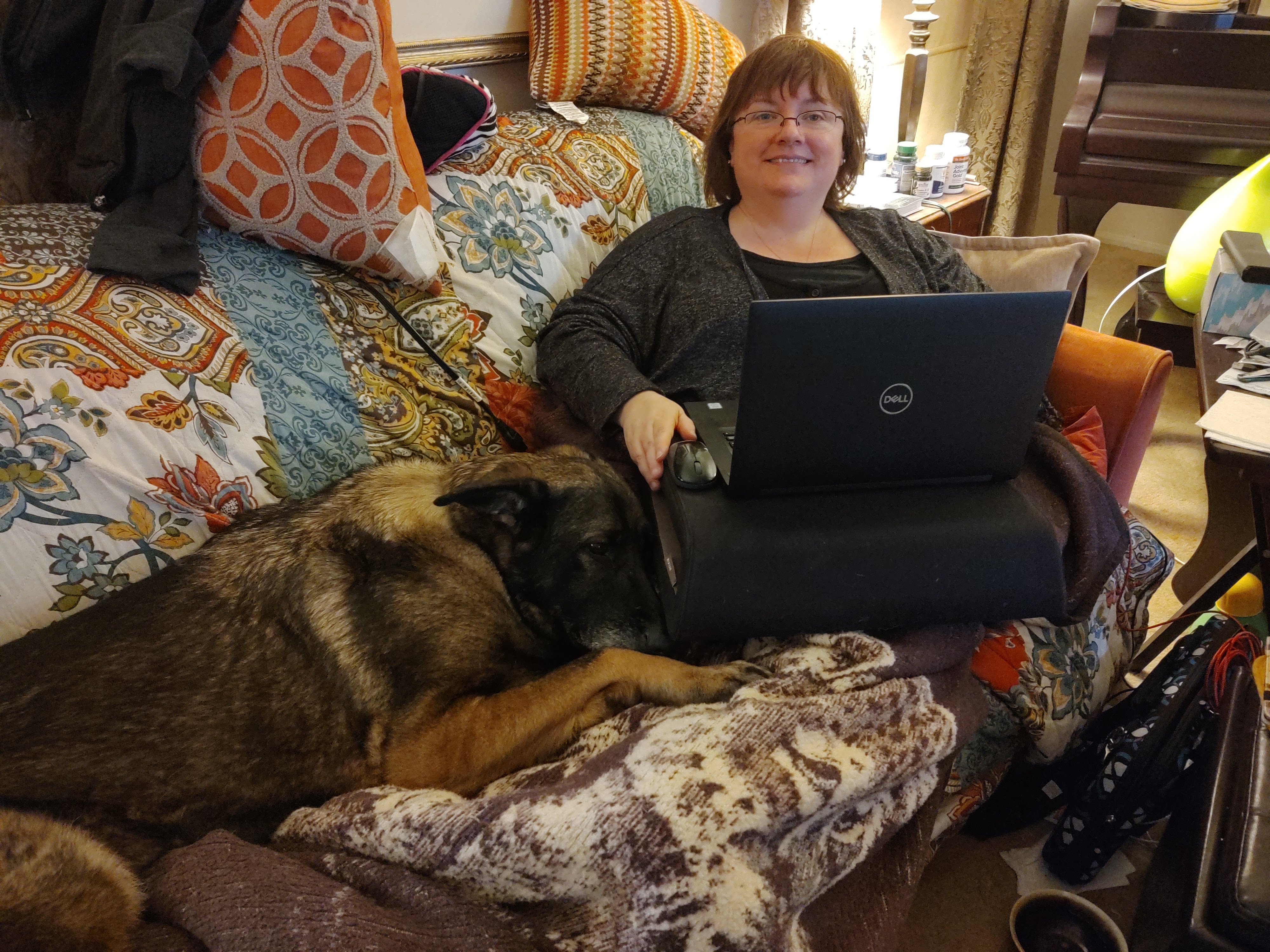 A dog sitting next to a woman with a laptop